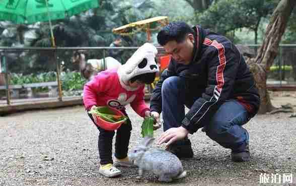 运城菊花文化节在哪里 运城菊花文化节时间+活动介绍