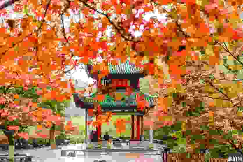 湖南有哪些旅游景点 湖南必去的旅游景点 湖南有哪些旅游景点 湖南必去的旅游景点