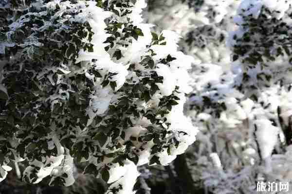 豐都雪玉山洞門票價格 營業時間-景區特色