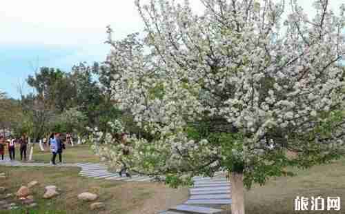 星湖旅游景区穿梭巴士时间+车票+站点介绍 星湖旅游景区穿梭巴士时间+车票+站点介绍