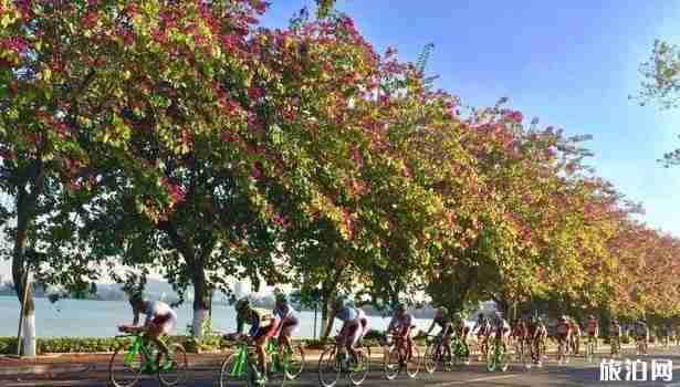 星湖旅游景区穿梭巴士时间+车票+站点介绍 星湖旅游景区穿梭巴士时间+车票+站点介绍