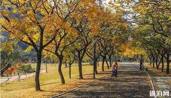 星湖旅游景区穿梭巴士时间+车票+站点介绍