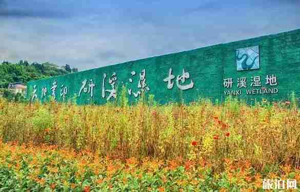 成都温江周边赏花地点推荐2018