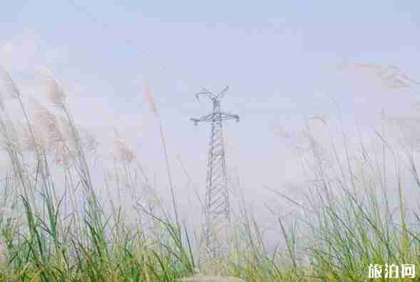 成都温江周边赏花地点推荐2018