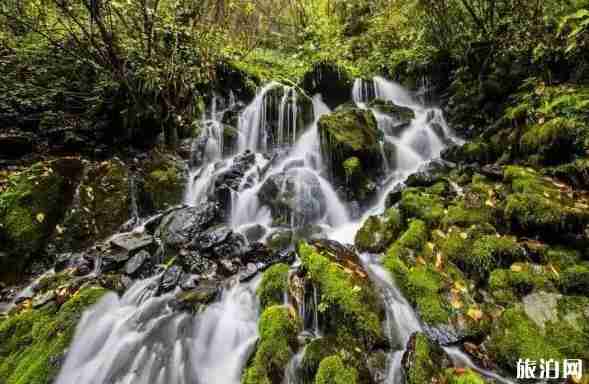 十一陕西旅游景点推荐