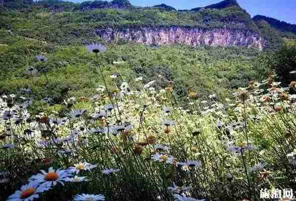 十一陕西旅游景点推荐