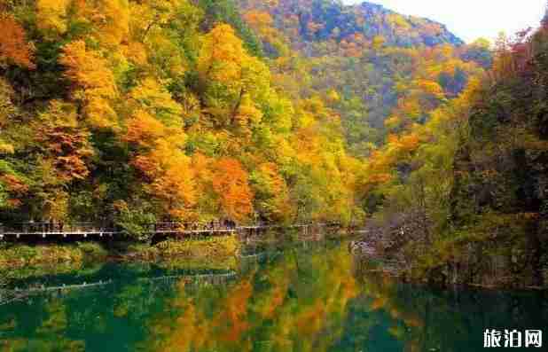 十一陕西旅游景点推荐