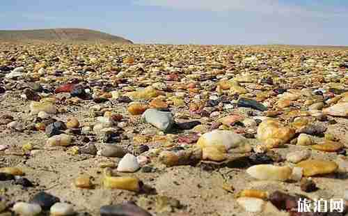 捡石头的好地方有哪些 捡石头的好地方有哪些