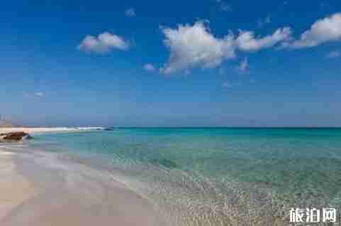 索科特拉岛是哪个国家 索科特拉岛旅游介绍 索科特拉岛是哪个国家 索科特拉岛旅游介绍
