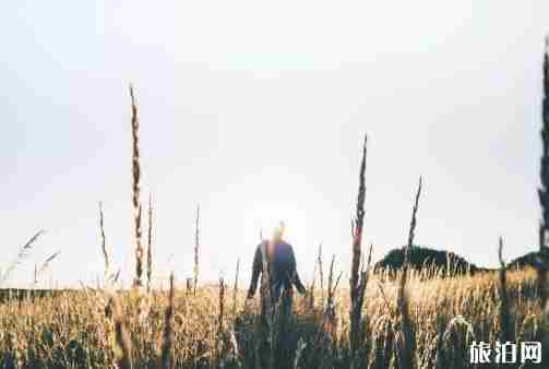 十月瑞典旅游有什么好玩的