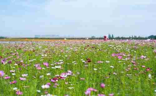 固城湖水慢城好玩吗 固城湖水慢城门票+交通 固城湖水慢城好玩吗 固城湖水慢城门票+交通