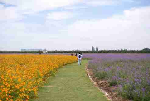 固城湖水慢城好玩吗 固城湖水慢城门票+交通 固城湖水慢城好玩吗 固城湖水慢城门票+交通