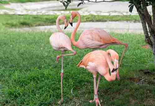固城湖水慢城好玩吗 固城湖水慢城门票+交通 固城湖水慢城好玩吗 固城湖水慢城门票+交通