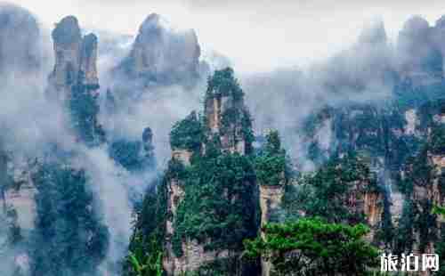 天津到张家界怎么去 天津到张家界自驾路线推荐 天津到张家界怎么去 天津到张家界自驾路线推荐