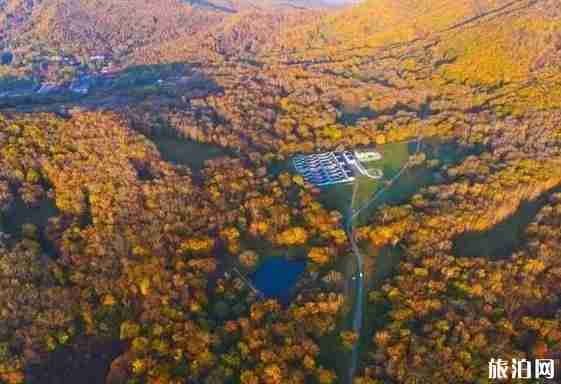 五花山在哪 五花山是什么意思 五花山景点介绍 五花山在哪 五花山是什么意思 五花山景点介绍