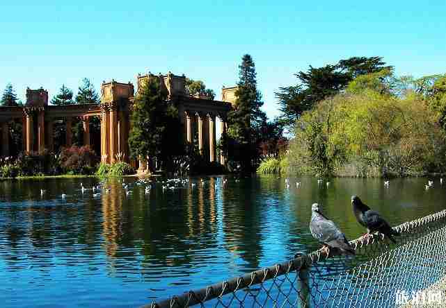 美国旧金山交通工具有哪些 美国旧金山交通攻略