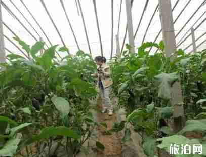 西安秦灞庄园怎么坐车过去 门票+交通指南