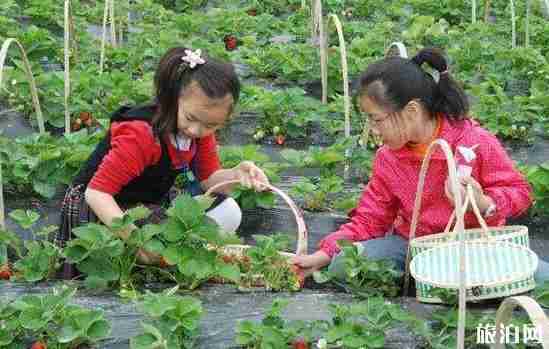 西安秦灞庄园怎么坐车过去 门票+交通指南