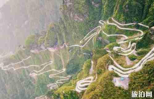 到了张家界怎么去景区 怎么去张家界旅游 到了张家界怎么去景区 怎么去张家界旅游