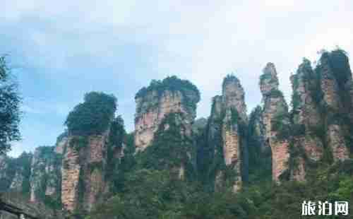 到了张家界怎么去景区 怎么去张家界旅游 到了张家界怎么去景区 怎么去张家界旅游