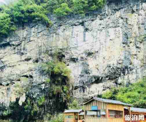 到了张家界怎么去景区 怎么去张家界旅游 到了张家界怎么去景区 怎么去张家界旅游