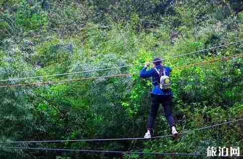 重庆梦幻奥陶纪公园怎么去 门票多少钱