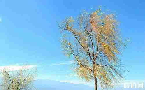 云南大理的风花雪月是指什么