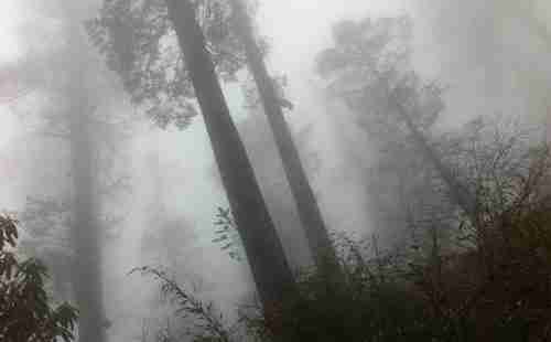 中國七大旅游禁地是指哪些地方 中國七大旅游禁地是指哪些地方