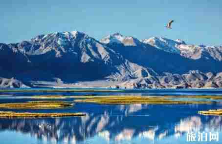 新藏线沿途景点有哪些 新藏线沿途景点有哪些