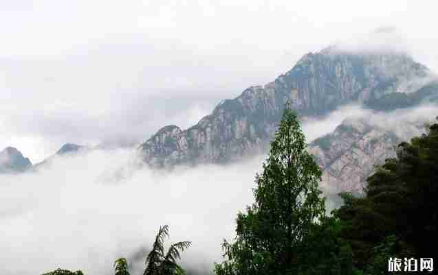 黄山客运站时刻表 黄山客运站时刻表