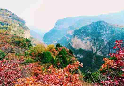 2018邢臺云夢山紅葉節 云夢山的紅葉紅了嗎 2018邢臺云夢山紅葉節 云夢山的紅葉紅了嗎