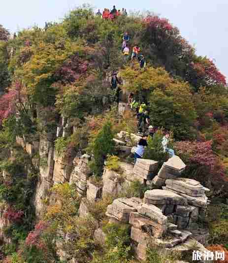 2018青州看紅葉去哪里好 青州哪里的紅葉紅了