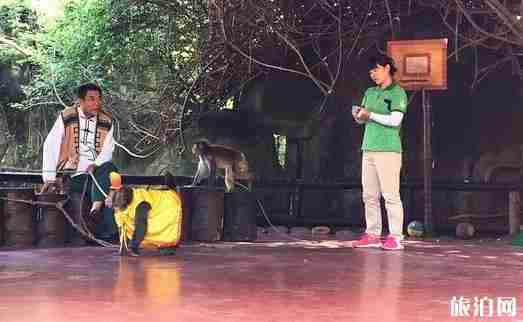 海南猴岛在哪 海南猴岛门票价格 海南猴岛攻略