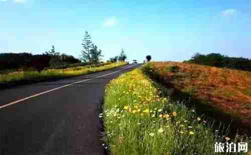 南京最美17公里在哪里 南京最美17公里风景介绍