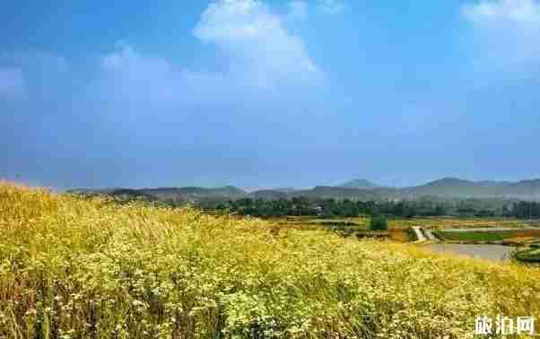 南京最美17公里在哪里 南京最美17公里风景介绍