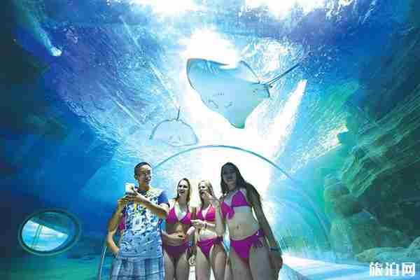 貴州極地海洋世界怎么去 貴州極地海洋世界怎么去