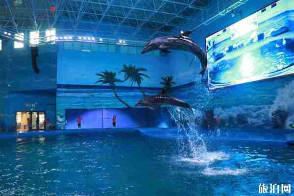 贵州极地海洋世界怎么去