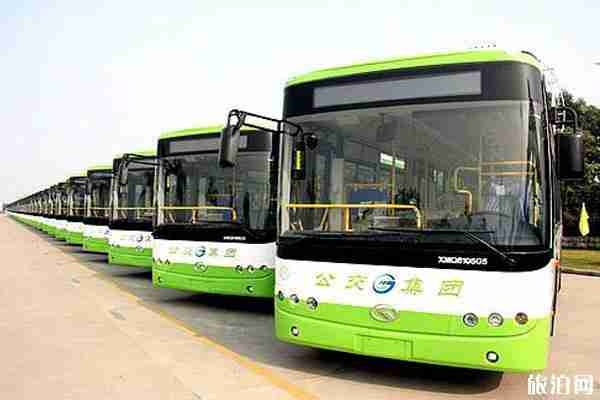 2020衡水公交什么時候恢復和實名認證流程