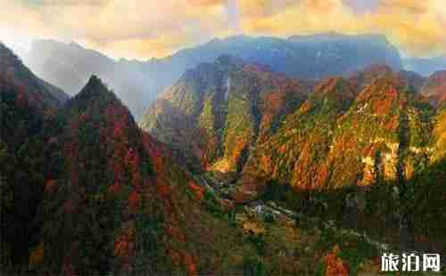 旺苍有什么好露营的地方