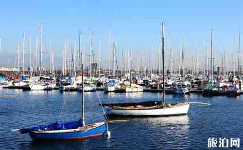 墨尔本机场到市区怎么去