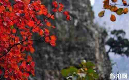 邢台赏红叶最好的地方是哪里 邢台赏红叶最好的地方是哪里