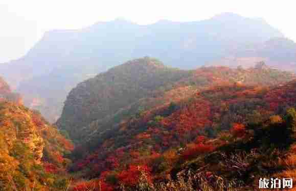 邢台赏红叶最好的地方是哪里 邢台赏红叶最好的地方是哪里