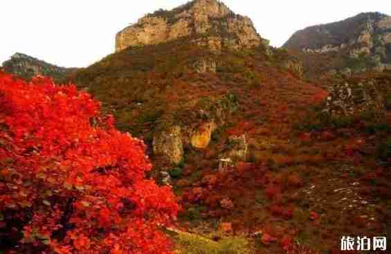 邢台赏红叶最好的地方是哪里 邢台赏红叶最好的地方是哪里