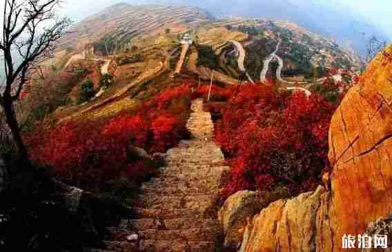 邢台赏红叶最好的地方是哪里 邢台赏红叶最好的地方是哪里