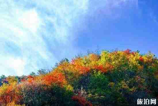 邢台赏红叶最好的地方是哪里 邢台赏红叶最好的地方是哪里