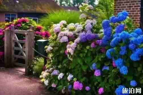 羊角村旅游攻略 羊角村旅游攻略