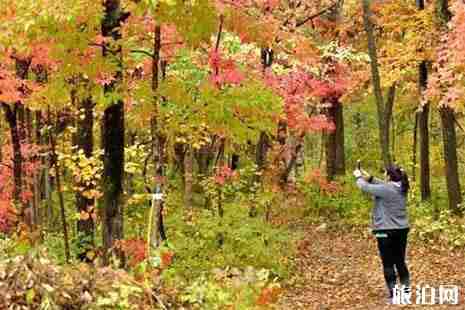 2018吉林舒兰红叶长廊在哪 红叶现在还在吗 2018吉林舒兰红叶长廊在哪 红叶现在还在吗