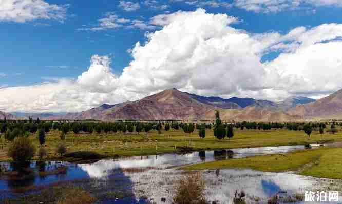 去拉萨火车飞机哪个好