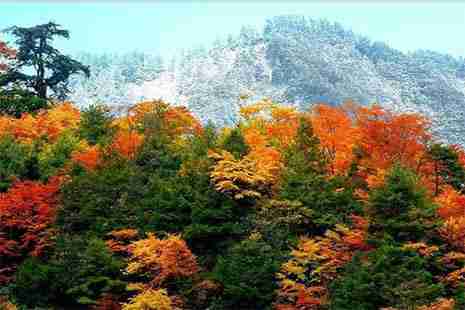 2018唐家河红叶节是什么时候 唐家河的红叶什么时候红叶最红