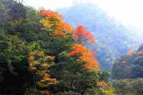 2018宝兴红叶节在哪里
